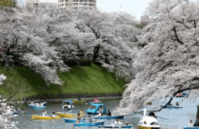 Japan welcomes tourists