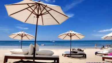 Luxury Beach Umbrellas
