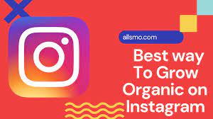 allsmo free instagram followers