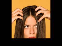 wellhealthorganic.com:ayurvedic-treatment-of-hair-problem