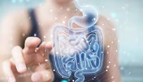 The Role of Probiotics in Digestive Health