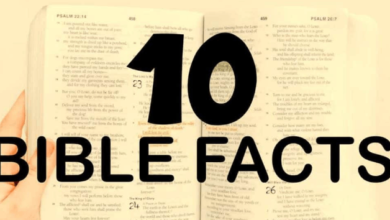 Fun Bible Facts for Youth
