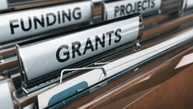 Government Grants