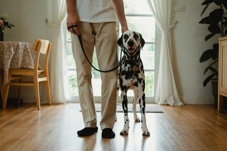 caller id and spam alerts